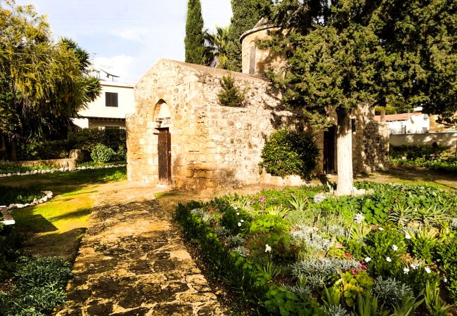 Apartment in Paphos - estéa • Elise's Perfect Vacation Place Apartment in Paphos - estéa • Elise's Perfect Vacation Place