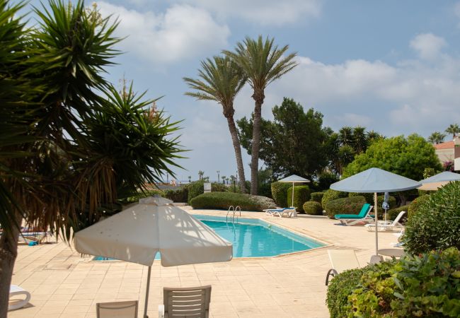 Apartment in Paphos - estéa • Richard's Holiday Apartment - Tourist Area Apartment in Paphos - estéa • Richard's Holiday Apartment - Tourist Area