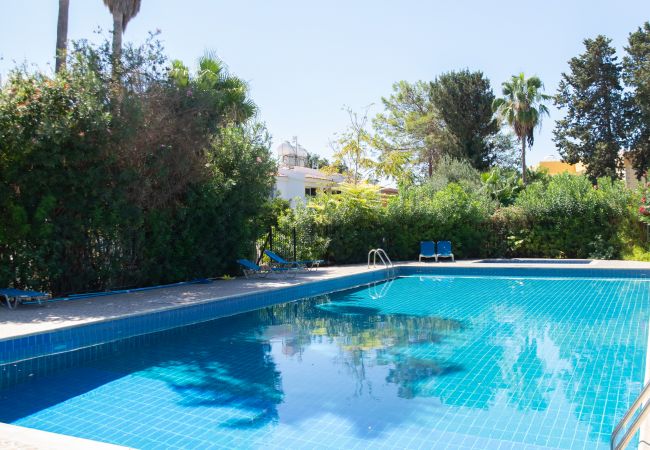 Apartment in Paphos - estéa • The Charming Lemon Tree Apartment in Paphos - estéa • The Charming Lemon Tree
