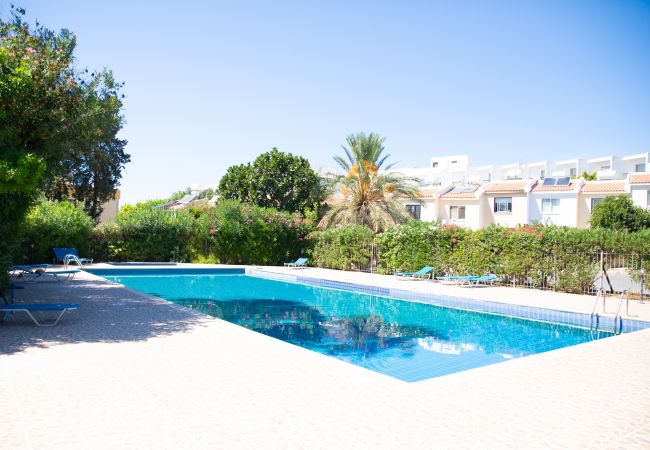 Apartment in Paphos - estéa • The Charming Lemon Tree Apartment in Paphos - estéa • The Charming Lemon Tree