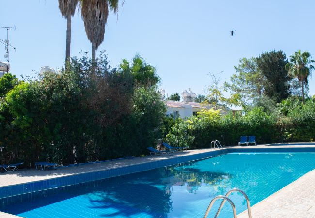 Apartment in Paphos - estéa • The Charming Lemon Tree Apartment in Paphos - estéa • The Charming Lemon Tree