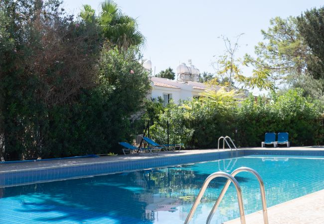 Apartment in Paphos - estéa • The Charming Lemon Tree Apartment in Paphos - estéa • The Charming Lemon Tree