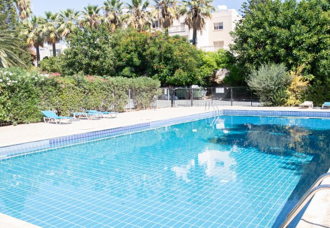 Apartment in Paphos - estéa • The Charming Lemon Tree Apartment in Paphos - estéa • The Charming Lemon Tree