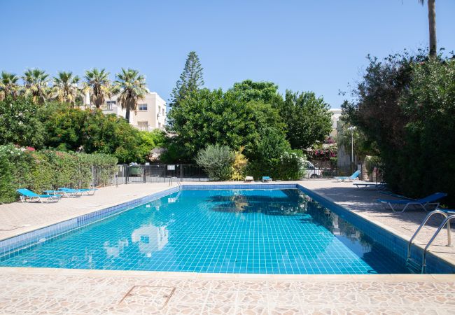 Apartment in Paphos - estéa • The Charming Lemon Tree Apartment in Paphos - estéa • The Charming Lemon Tree