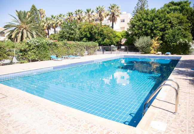 Apartment in Paphos - estéa • The Charming Lemon Tree Apartment in Paphos - estéa • The Charming Lemon Tree