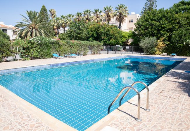 Apartment in Paphos - estéa • The Charming Lemon Tree Apartment in Paphos - estéa • The Charming Lemon Tree