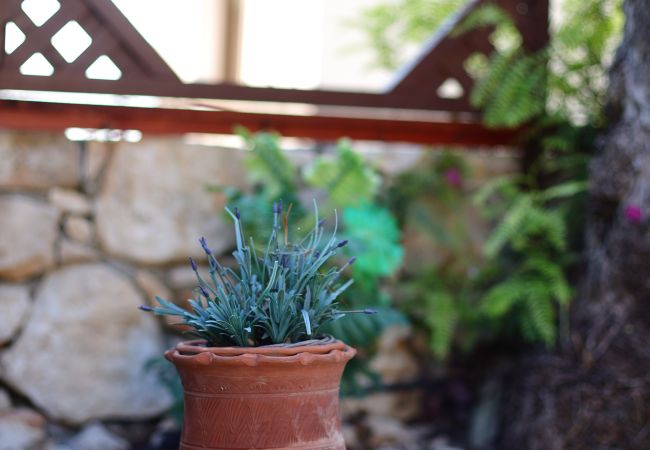 Villa in Peyia - estéa • Island Villa | Sea View -  Pool - Jacuzzi Villa in Peyia - estéa • Island Villa | Sea View -  Pool - Jacuzzi