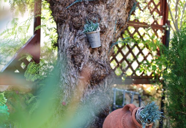 Villa in Peyia - estéa • Island Villa | Sea View -  Pool - Jacuzzi Villa in Peyia - estéa • Island Villa | Sea View -  Pool - Jacuzzi