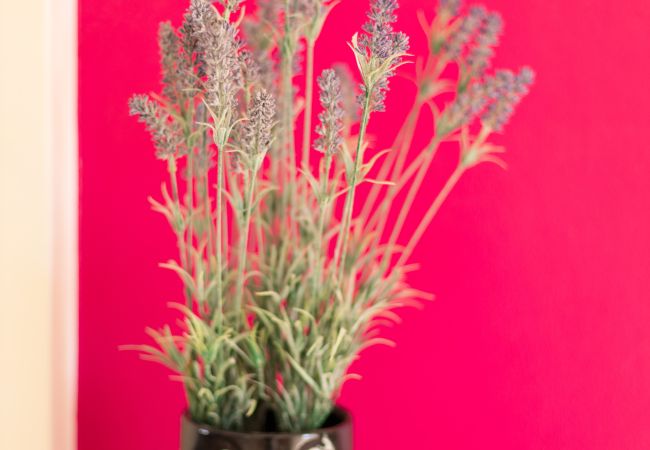 Apartment in Peyia - estéa • Lysandra's Family Friendly Vacation Home Apartment in Peyia - estéa • Lysandra's Family Friendly Vacation Home