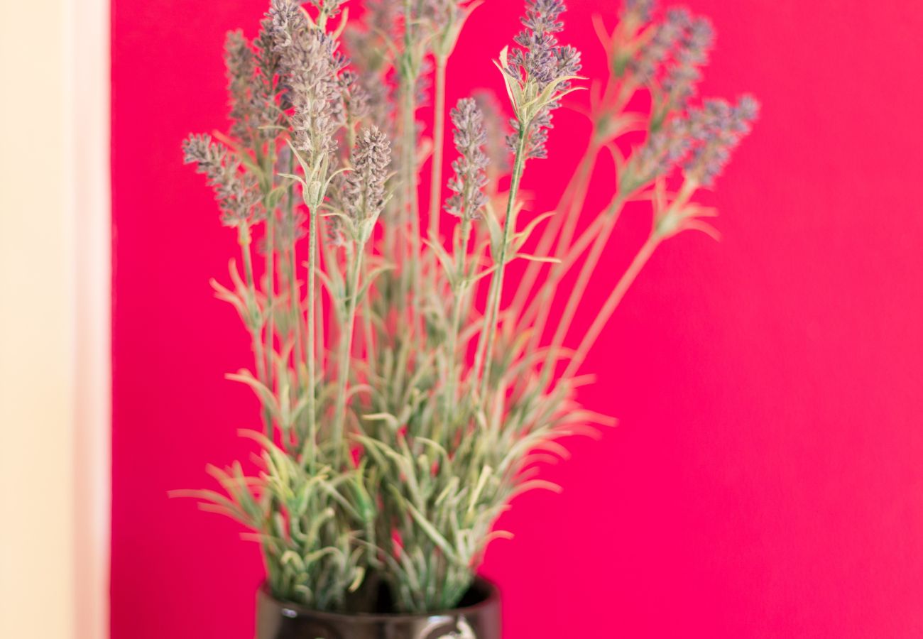 Apartment in Peyia - estéa • Lysandra's Family Friendly Vacation Home Apartment in Peyia - estéa • Lysandra's Family Friendly Vacation Home