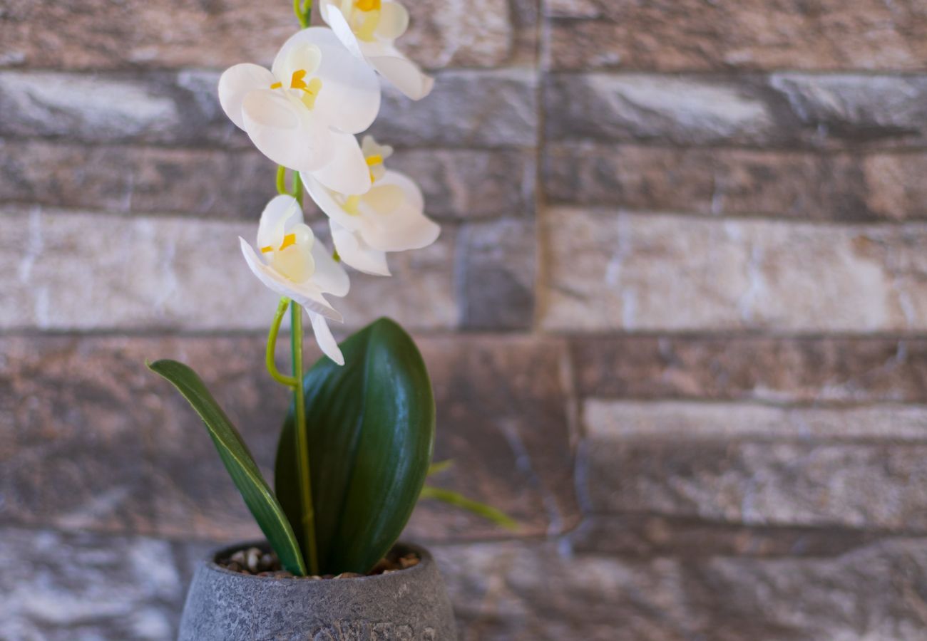 Apartment in Peyia - estéa • Lysandra's Family Friendly Vacation Home Apartment in Peyia - estéa • Lysandra's Family Friendly Vacation Home