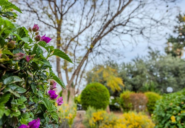 Apartment in Paphos - estéa • Bianca's Holiday Apartment in Tourist Area Apartment in Paphos - estéa • Bianca's Holiday Apartment in Tourist Area