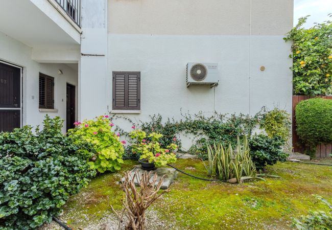 Studio in Paphos - estéa • Alice's Holiday Studio in Tourist Studio in Paphos - estéa • Alice's Holiday Studio in Tourist