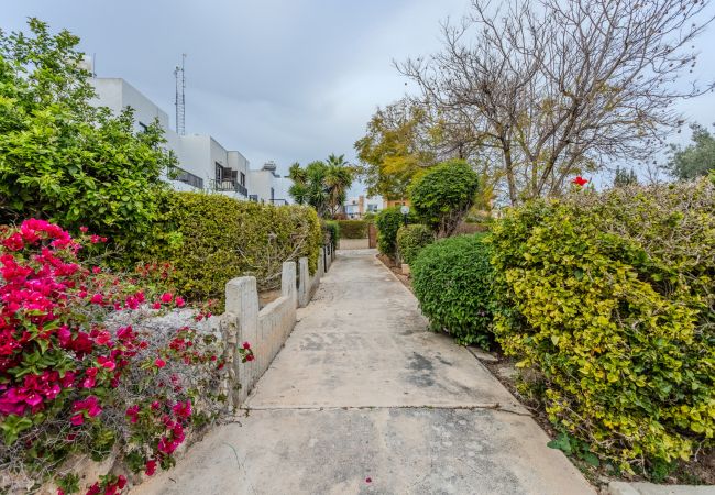 Studio in Paphos - estéa • Alice's Holiday Studio in Tourist Studio in Paphos - estéa • Alice's Holiday Studio in Tourist