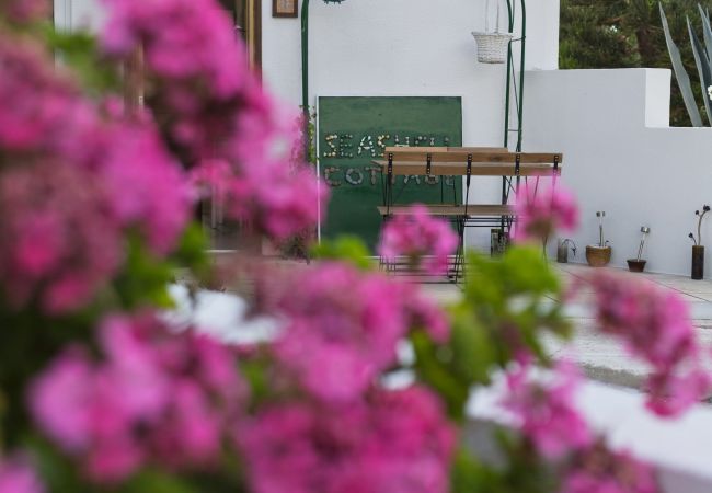 Terraced House in Chloraka - estéa • SeaShell Cottage - Cozy Holiday Apartment Terraced House in Chloraka - estéa • SeaShell Cottage - Cozy Holiday Apartment